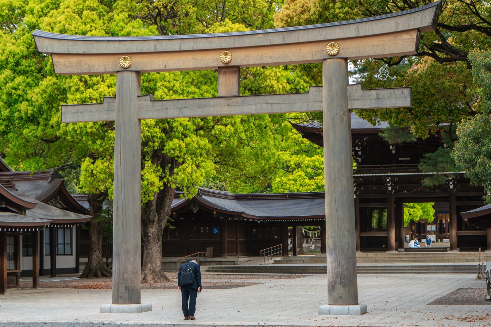 Large shrine gate and lone visitor surrounded by green trees